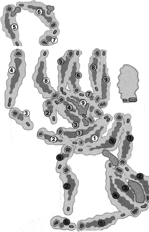 Tiburon Course Map